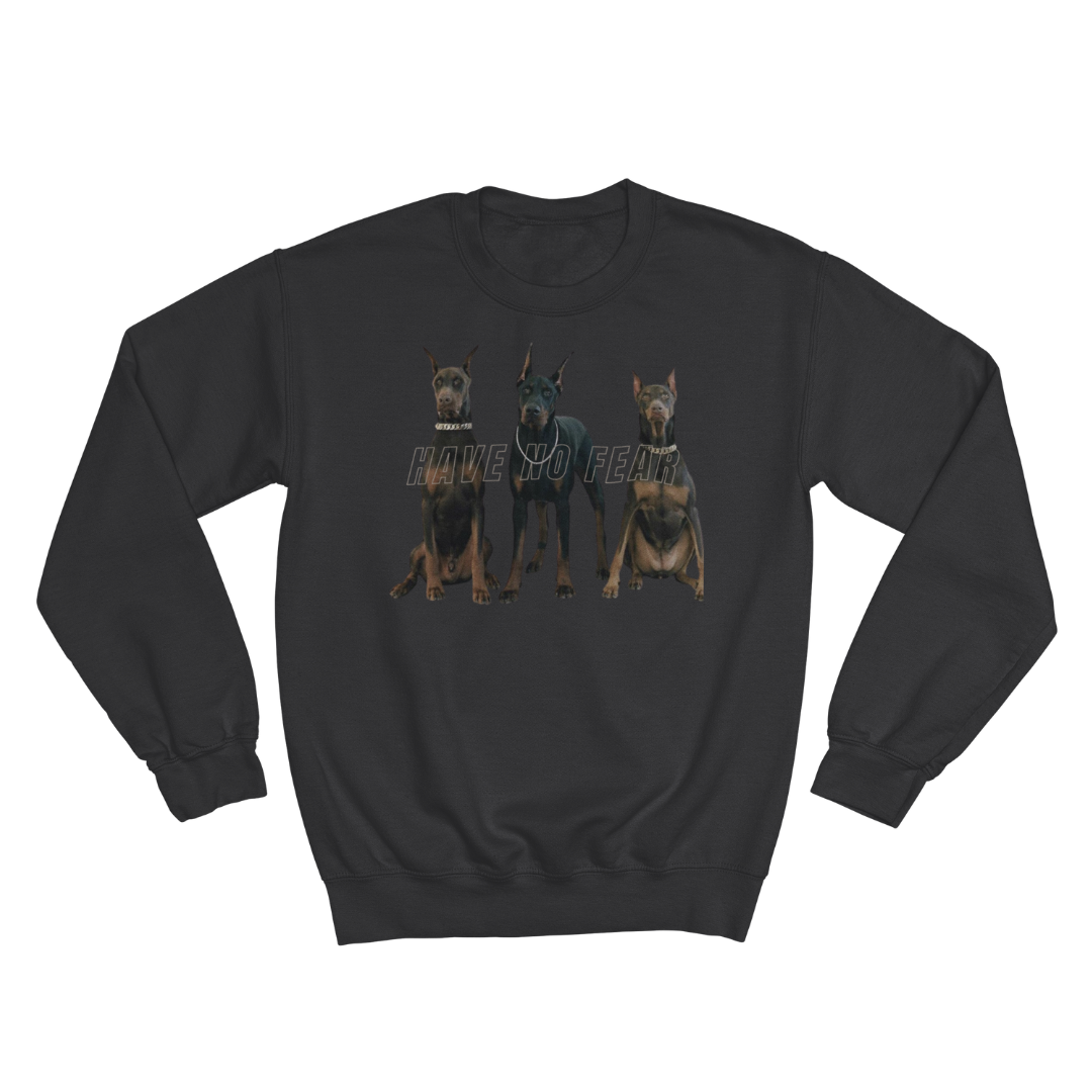 HAVE NO FEAR SWEATSHIRT