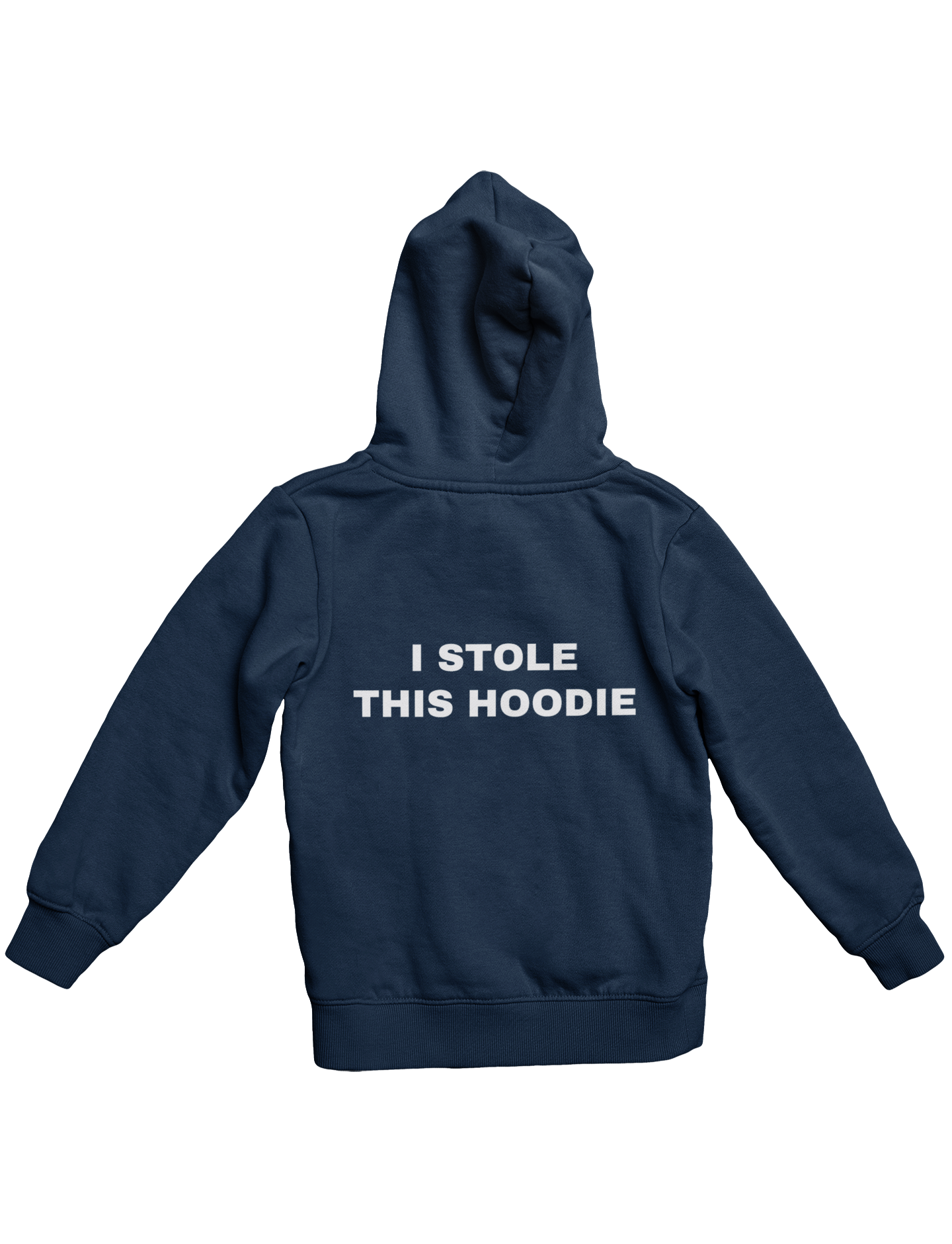 I STOLE THIS HOODIE (3D PUFF) HOODIE