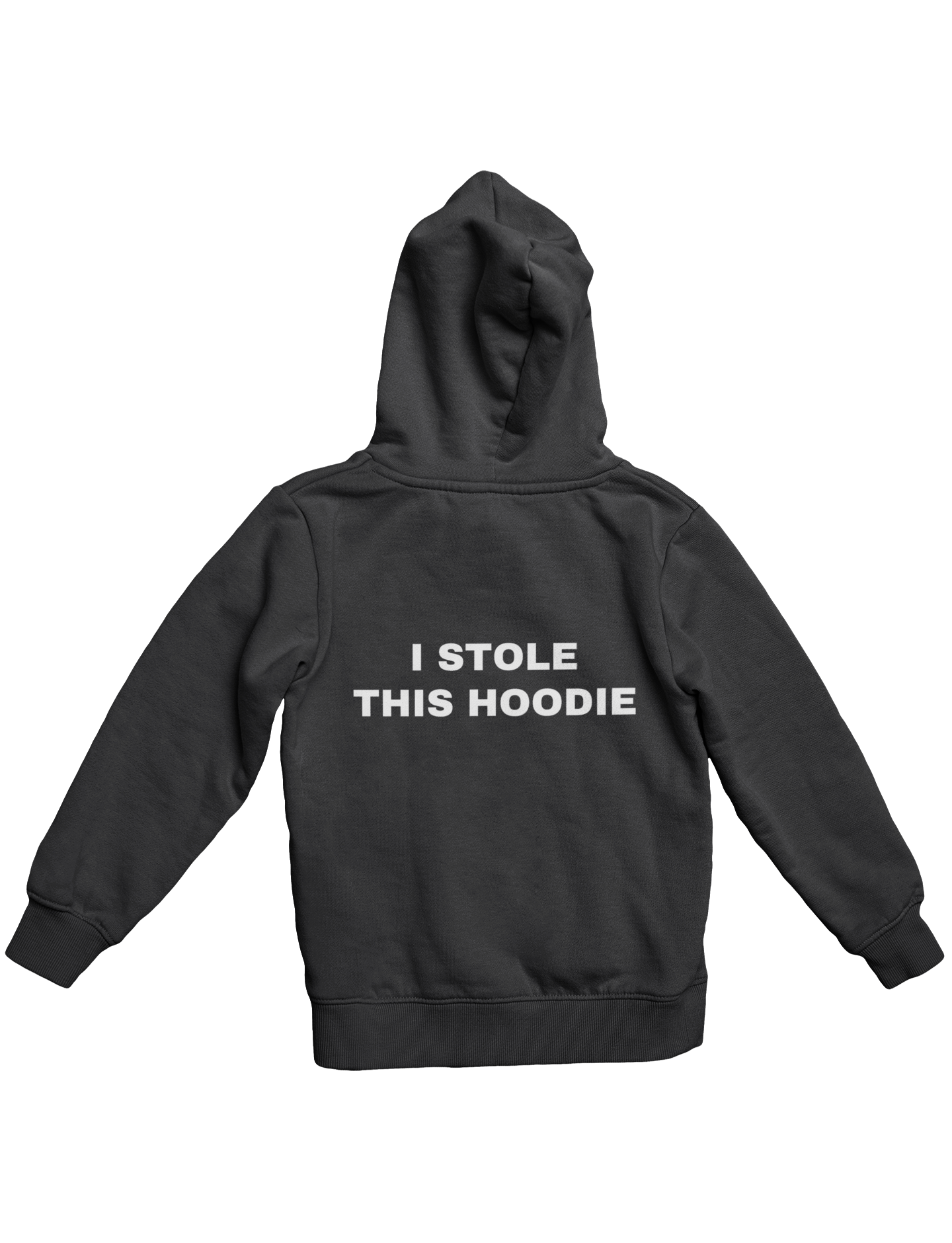 I STOLE THIS HOODIE (3D PUFF) HOODIE