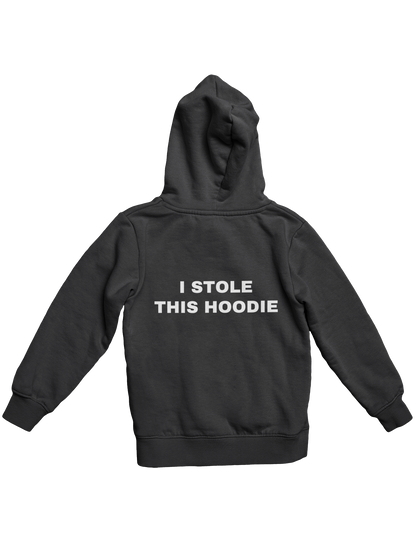 I STOLE THIS HOODIE (3D PUFF) HOODIE